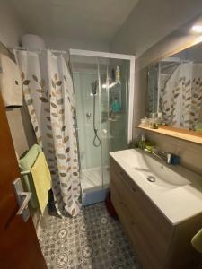 uma casa de banho com um chuveiro e um lavatório. em AS24540- P2 neuf à 100m de la Plage em Le Grau-du-Roi