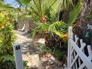 a garden with a white fence and a palm tree at Villa club avec jardin in Bandol +3 photos