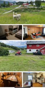 a collage of pictures of a farm with a cow and a barn at Kvien alpakka gjestegård in Vevle