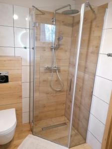 a shower with a glass door in a bathroom at Dom wypoczynkowy Pod kasztanem 2 in Wartkowo