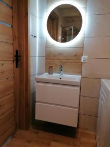 ein Bad mit einem Waschbecken und einem Spiegel in der Unterkunft Dom wypoczynkowy Pod kasztanem 2 in Wartkowo