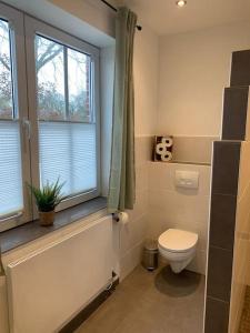 a bathroom with a toilet and a window at Haus im Erholungsgebiet Detern in Detern