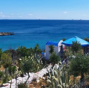 a group of tents with the ocean in the background at Kynosoura's sea view in Ambelákia +14 photos