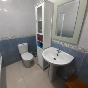 a bathroom with a white toilet and a sink at EL VIEJO OLMO in Herguijuela de la Sierra +4 photos