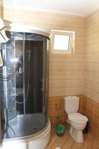 a bathroom with a shower with a toilet and a sink at Crypto Villa in Igalo