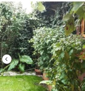 Gallery image of JO 2024 Jolie Maison avec Jardin Proche Paris in La Garenne-Colombes