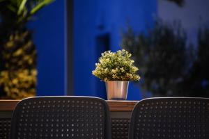 Puutarhaa majoituspaikan Hermoso Luxury Suites ulkopuolella