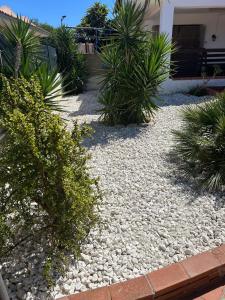 a garden with rocks and palm trees in front of a house at Beb Eclissi in Fontane Bianche