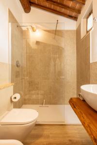 ein Bad mit einer Dusche, einem WC und einem Waschbecken in der Unterkunft ASSO DI PICCHE in Siena