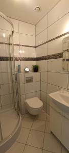 Kúpeľňa v ubytovaní Apartamenty Gościnne Idylla