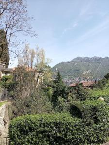 a view of a hill with trees and bushes at CASA TURRI in Como