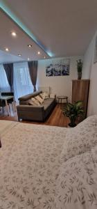 ノヴィ・タルクにあるApartament-Studio Polana Szaflarskaの広いベッドルーム(ベッド1台、ソファ付)