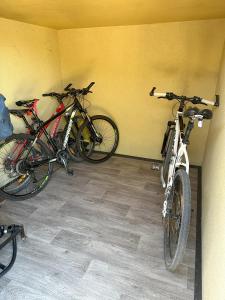 Attività di ciclismo presso l'appartamento o nelle vicinanze