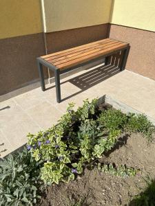 Foto dalla galleria di Apartma Anže Samec a Dobravlje