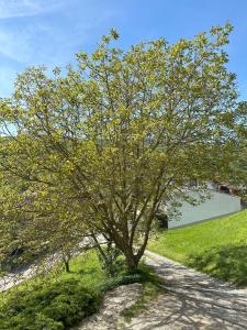 Paesaggio naturale nelle vicinanze dell'appartamento