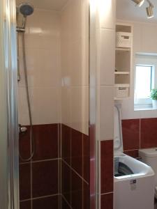 a bathroom with a shower with brown and white tiles at Jitřenka chata s cateringem in Trojanovice