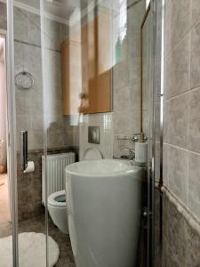 a bathroom with a sink and a toilet at Achilles Apartment in Nafplio