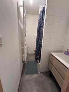 a small bathroom with a shower and a sink at T2 centre Ville Proche des pistes in Briançon