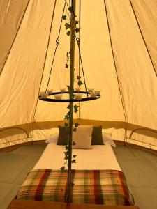 Zimmer mit einem Bett in einem Zelt in der Unterkunft Rescorla Retreats- Poldark in Mevagissey
