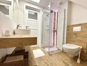 een badkamer met een toilet, een wastafel en een douche bij Domek Tatry - Stacja Wierchowa 972 m in Brzegi
