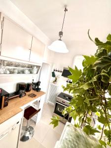 una pequeña cocina con una mesa y una planta en 100 m2 Apartment in the center of Athens en Athens
