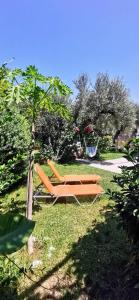 una sedia arancione seduta sull'erba in un cortile di Elia Guesthouse a Kíssamos