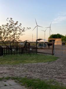 a fence with two swings and windmills in the background at Ferienwohnung Pferdehof Birkholz in Bernau bei Berlin