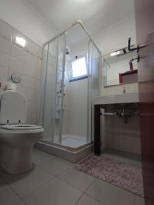a bathroom with a shower and a toilet and a sink at Sol e Mar in Ponta do Sol