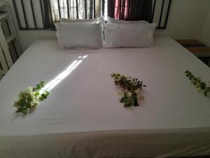 two potted plants on a bed in a room at Golentle Home Stay in Maun