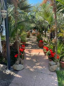 un jardin avec des fleurs rouges, des palmiers et des plantes dans l'établissement La casina di Simo, à Montenero