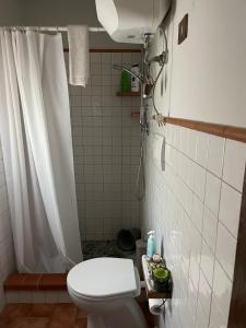 La salle de bains est pourvue d'une douche et de toilettes. dans l'établissement La casina di Simo, à Montenero
