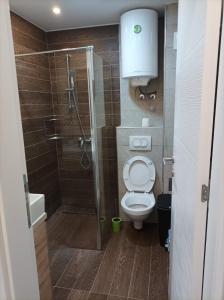 a bathroom with a shower and a toilet and a sink at Milmari Resort Kopaonik in Kopaonik
