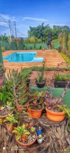 a group of potted plants in pots next to a pool at Pousada Recanto das Maritacas in Brotas