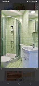 a bathroom with a shower and a toilet and a sink at Zielony Dom na Wzgórzu in Bystrzyca Kłodzka