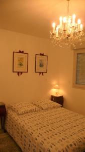 a bedroom with a bed and a chandelier at Pour visiter ou travailler dans le LOIRET in Saint-Jean-de-Braye