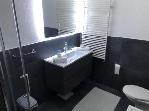 a bathroom with a sink and a toilet and a mirror at Vacanza a Miglieglia in Miglieglia