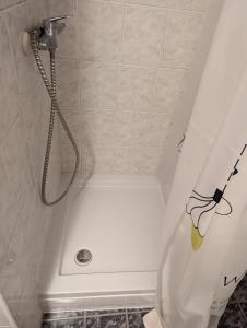 a shower in a bathroom with a toilet at Dragon's Lair in Celje