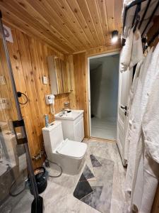 a bathroom with a toilet and a sink and a shower at GLAXY_GLAMPING in Karakol