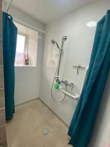 a bathroom with a shower with a blue shower curtain at Castle Cottage in Kendal