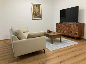 TV a/nebo společenská místnost v ubytování Mahdgut