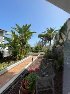 a garden with a table and plants and palm trees at Strelitzia Apartament in Santa Úrsula