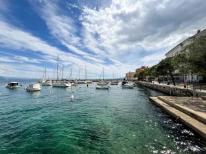 Příroda nedaleko apartmánu