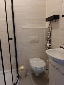 małą łazienkę z toaletą i umywalką w obiekcie Noclegi Viktor w mieście Kalwaria Zebrzydowska