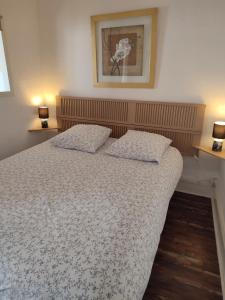 1 dormitorio con 1 cama con 2 almohadas en T1 lumineux et climatisé, en Chagny