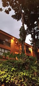 a building with a tree in front of it at Loft da Figueira, Abraão Ilha Grande. in Angra dos Reis