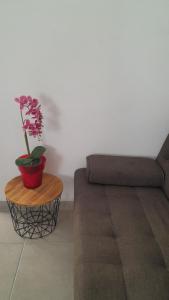 a living room with a couch and a plant on a table at SPILIOTICA CENTRAL APARTMENTS in Fira
