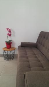 a couch in a living room with a plant on a table at SPILIOTICA CENTRAL APARTMENTS in Fira