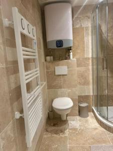 a bathroom with a toilet and a shower at Nice new apartment with direct access a big garden in Saint-Germain-en-Laye