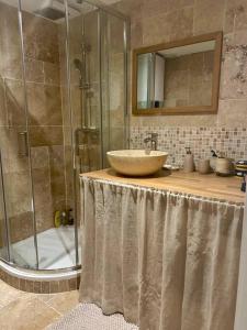 a bathroom with a sink and a shower at Nice new apartment with direct access a big garden in Saint-Germain-en-Laye