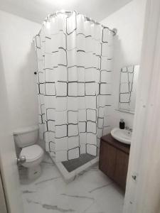 W łazience znajduje się prysznic, toaleta i umywalka. w obiekcie Departamento en riviera Maya w mieście Tulum